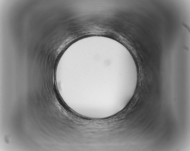 X0000102010011200807180921