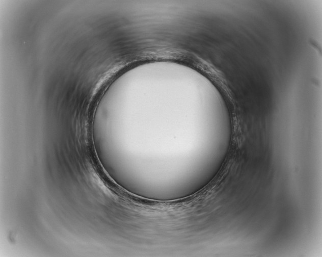 X0000102010012200807180921
