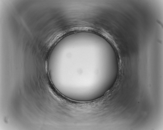 X0000102010013200807180921