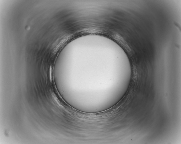 X0000102010014200807180921