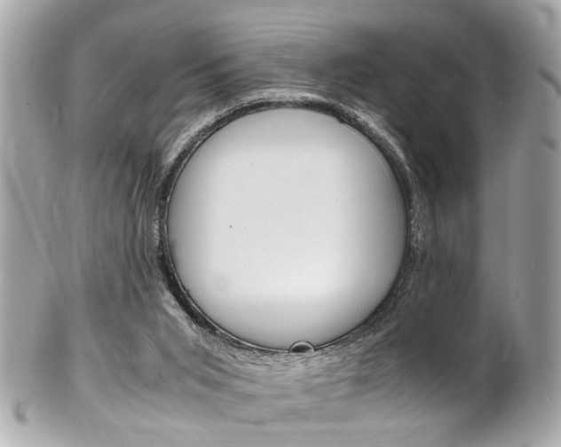 X0000102010015200807180921
