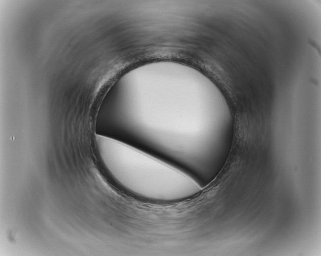 X0000102010016200807180921