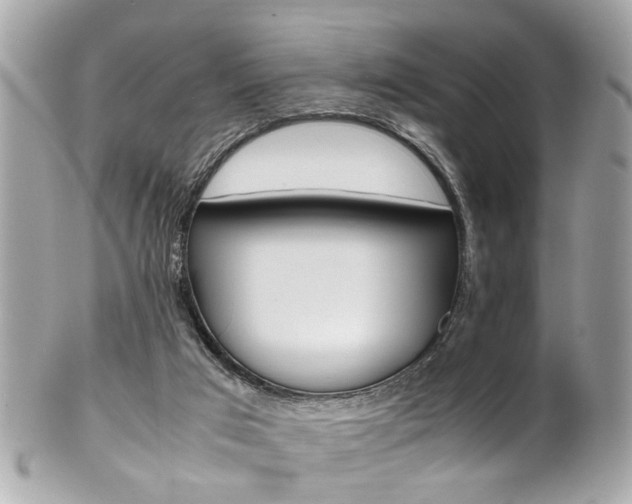 X0000102010017200807180921