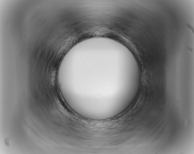 X0000102010018200807180921