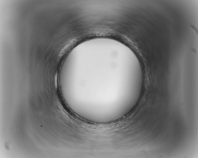 X0000102010019200807180921