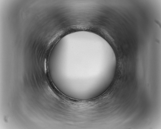 X0000102010020200807180921