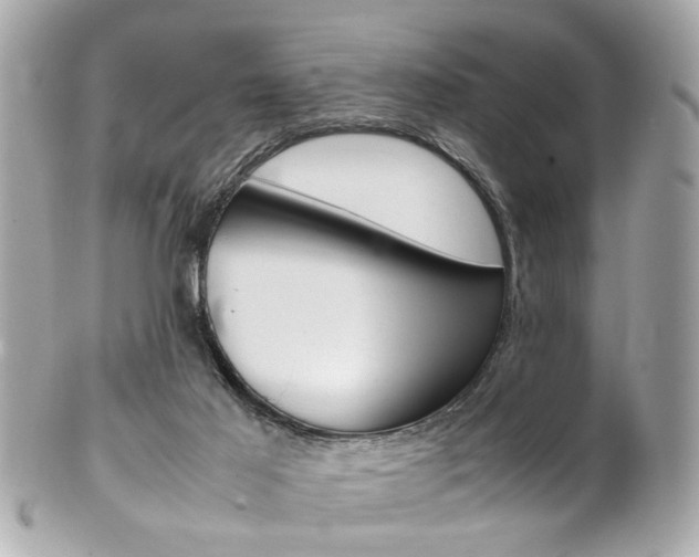 X0000102010021200807180921