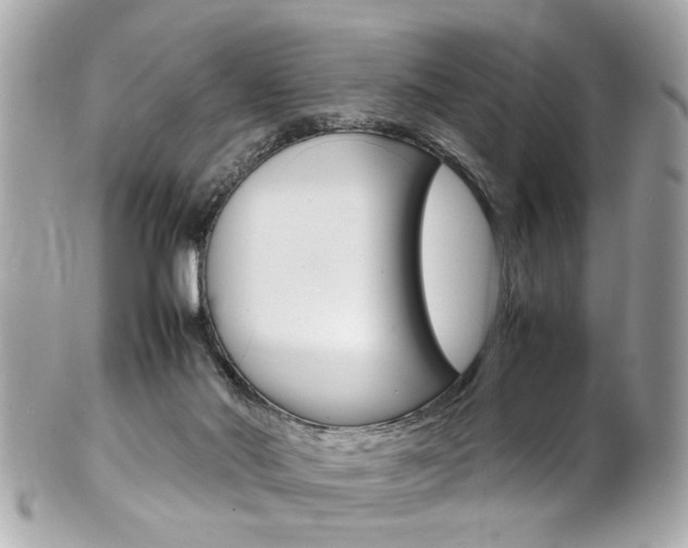 X0000102010022200807180921