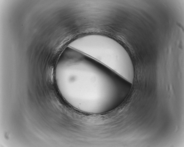 X0000102010024200807180921