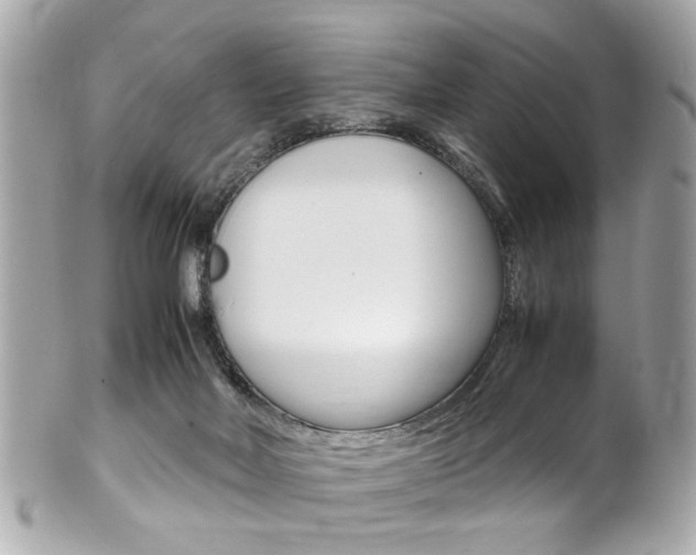 X0000102010026200807180921