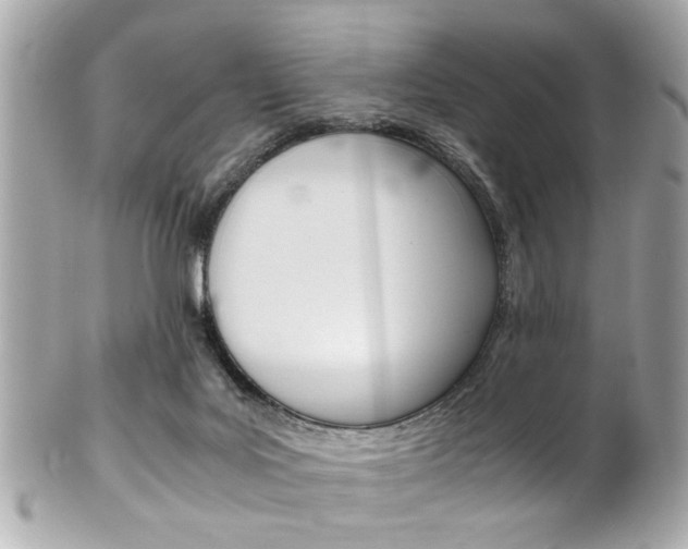 X0000102010027200807180921