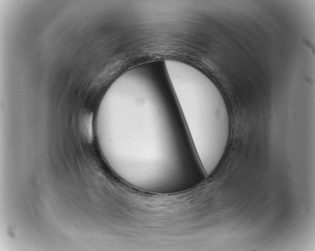 X0000102010028200807180921