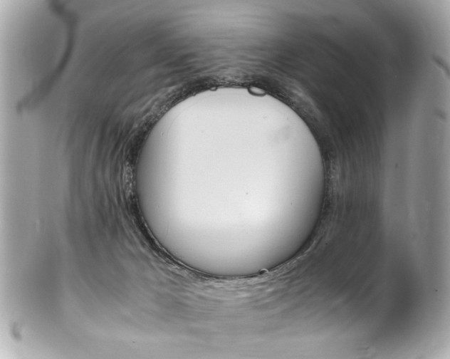 X0000102010029200807180921