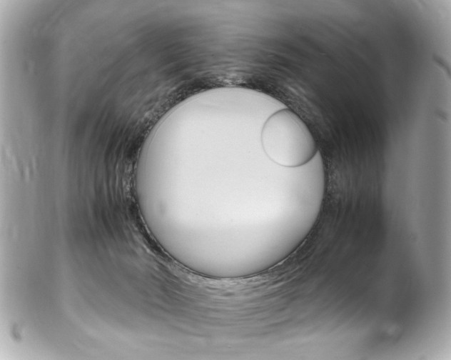 X0000102010030200807180921
