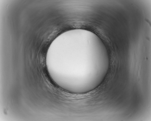 X0000102010031200807180921