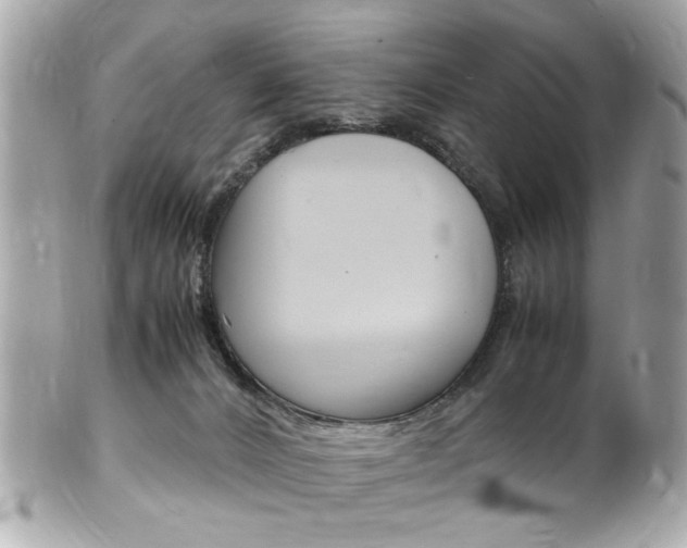 X0000102010032200807180921