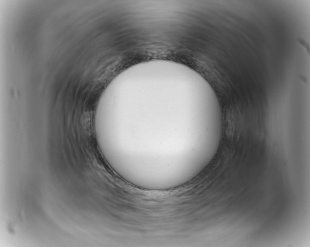 X0000102010034200807180921