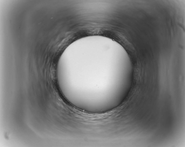X0000102010035200807180921