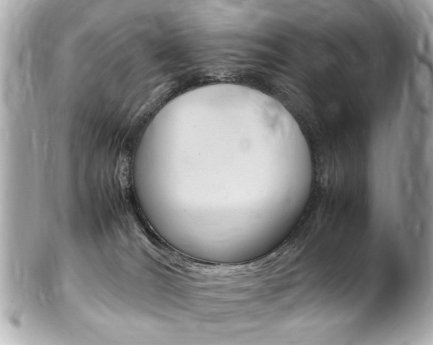 X0000102010036200807180921