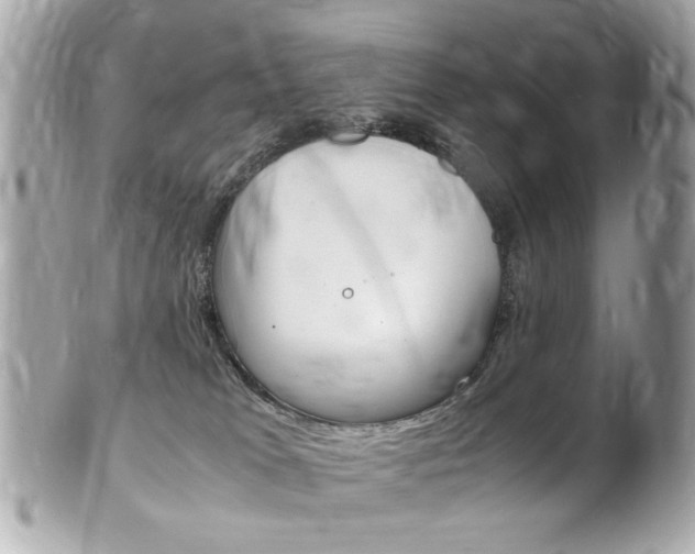 X0000102010037200807180921