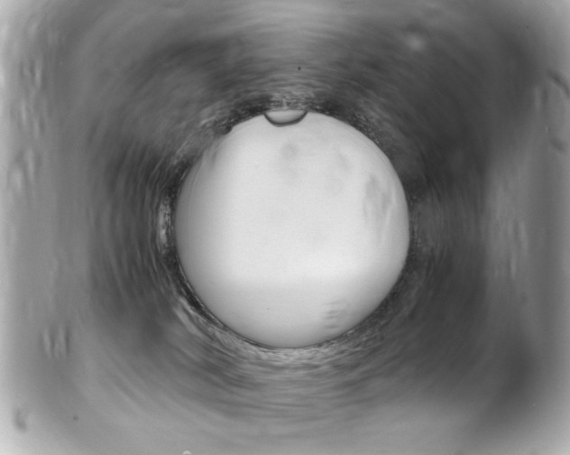 X0000102010038200807180921