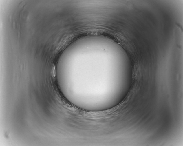 X0000102010041200807180921