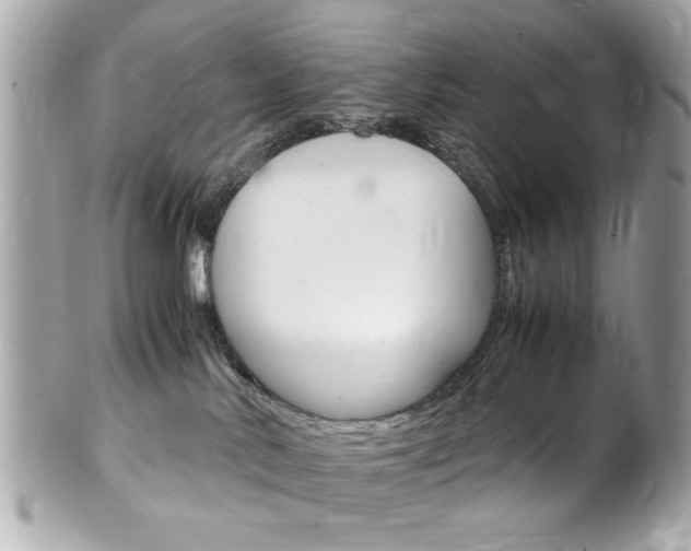 X0000102010042200807180921