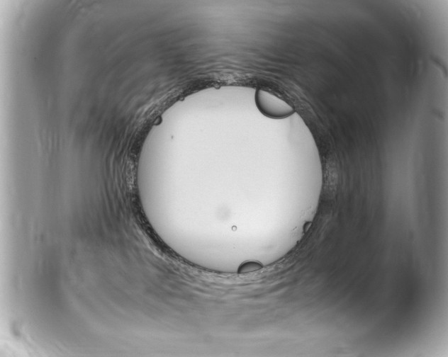 X0000102010043200807180921