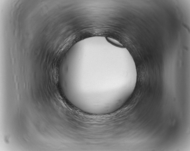 X0000102010044200807180921