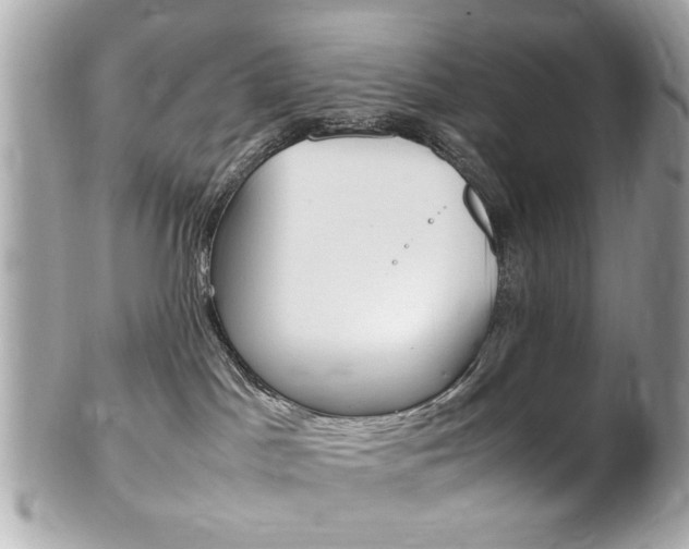 X0000102010045200807180921