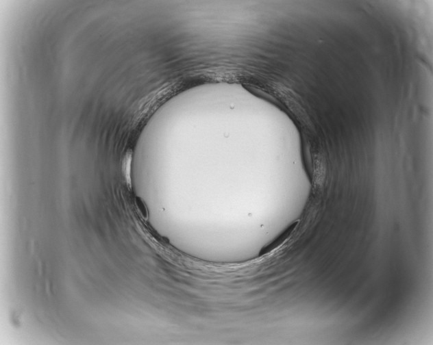 X0000102010047200807180921