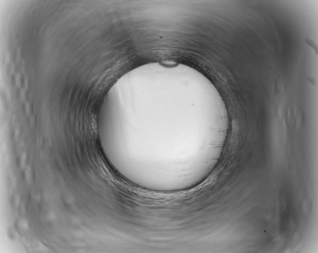 X0000102010048200807180921