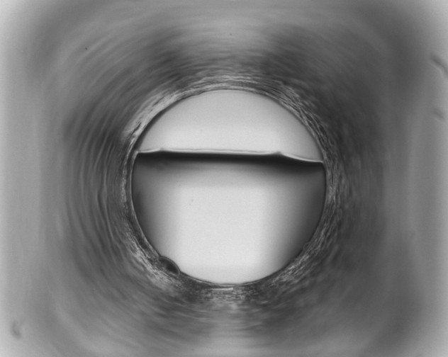 X0000102010050200807180920