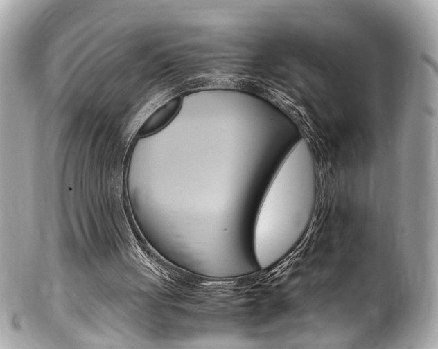 X0000102010051200807180920