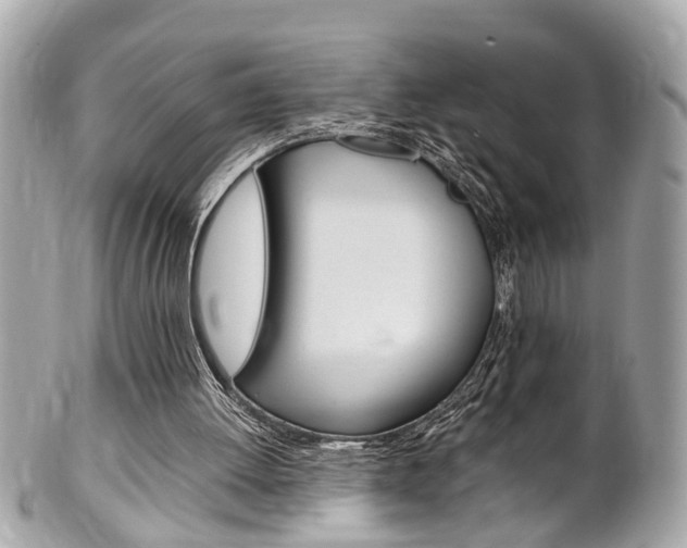 X0000102010052200807180920