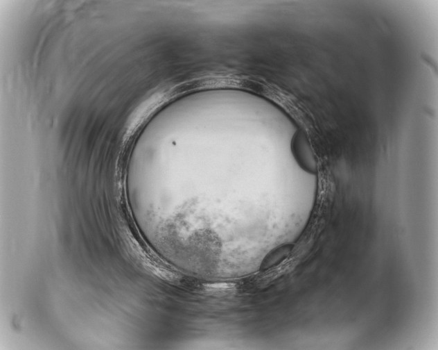 X0000102010053200807180920