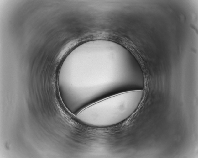 X0000102010054200807180920