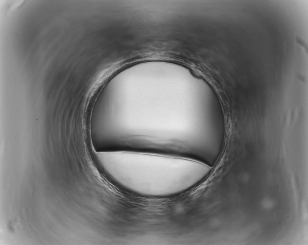X0000102010055200807180920