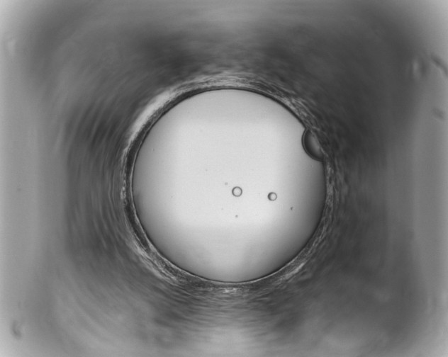X0000102010056200807180920