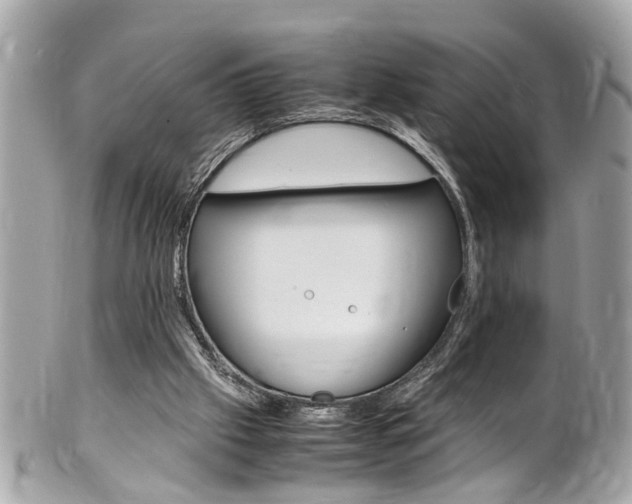 X0000102010057200807180920