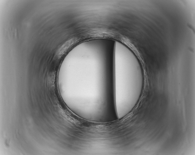 X0000102010058200807180920