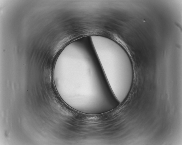 X0000102010059200807180920