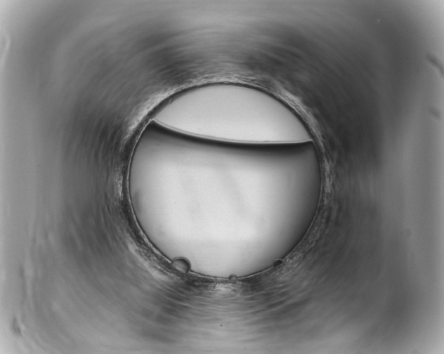 X0000102010060200807180920