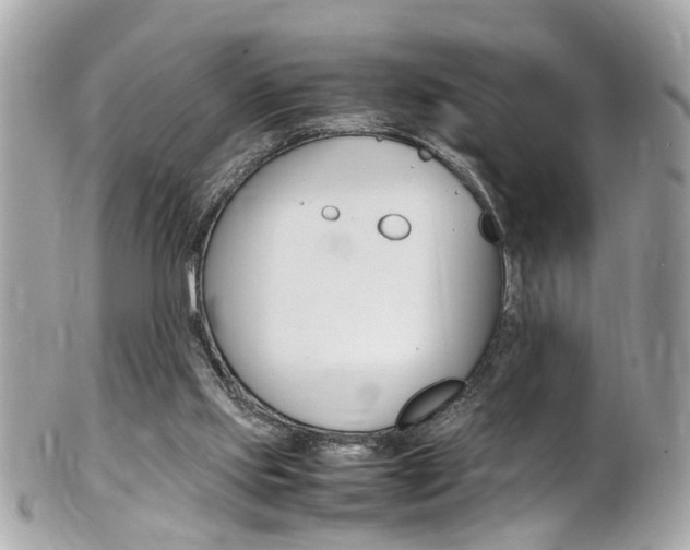 X0000102010061200807180920
