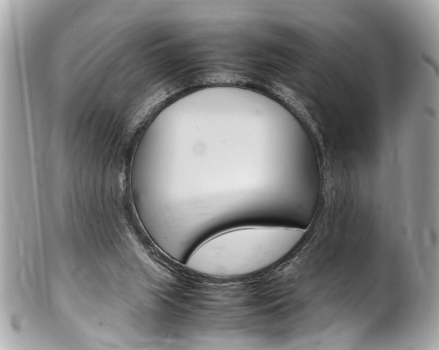 X0000102010063200807180920