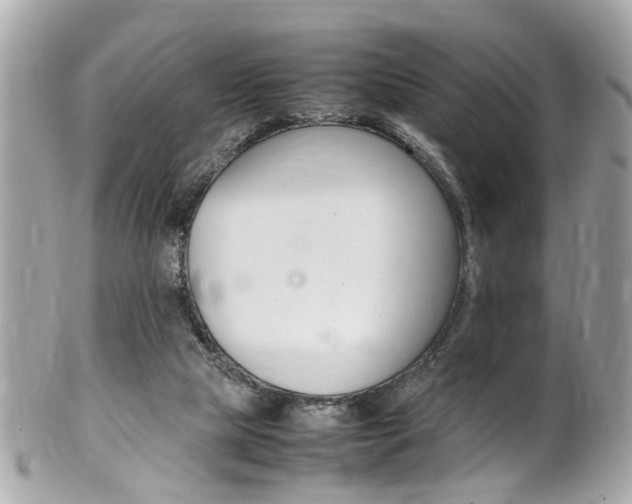 X0000102010065200807180920