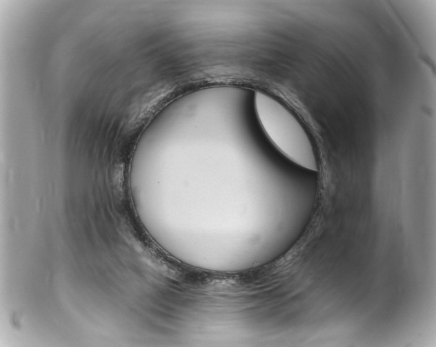 X0000102010066200807180920