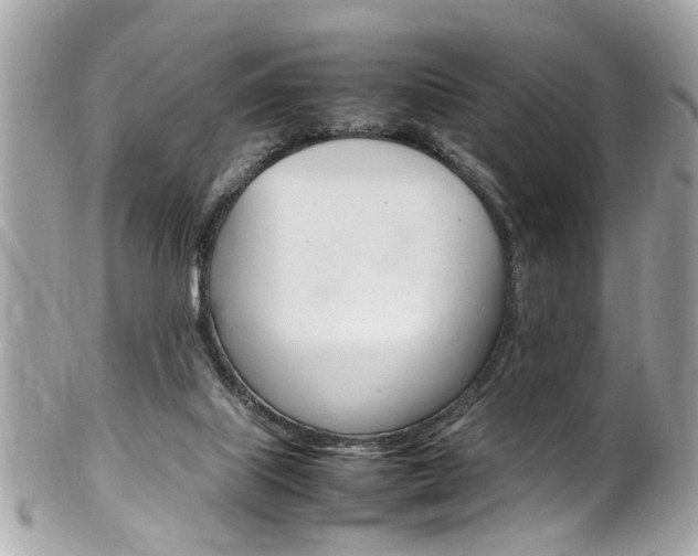X0000102010067200807180920