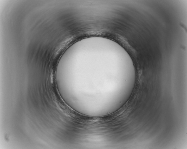 X0000102010068200807180920