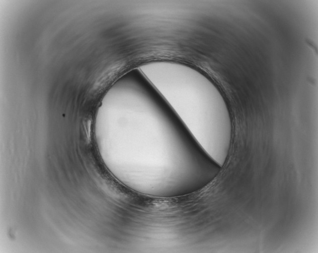 X0000102010070200807180920